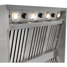 Blaze 42-Inch Stainless Steel Outdoor Vent Hood - The Garden District